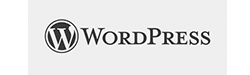 Diseño web wordpress